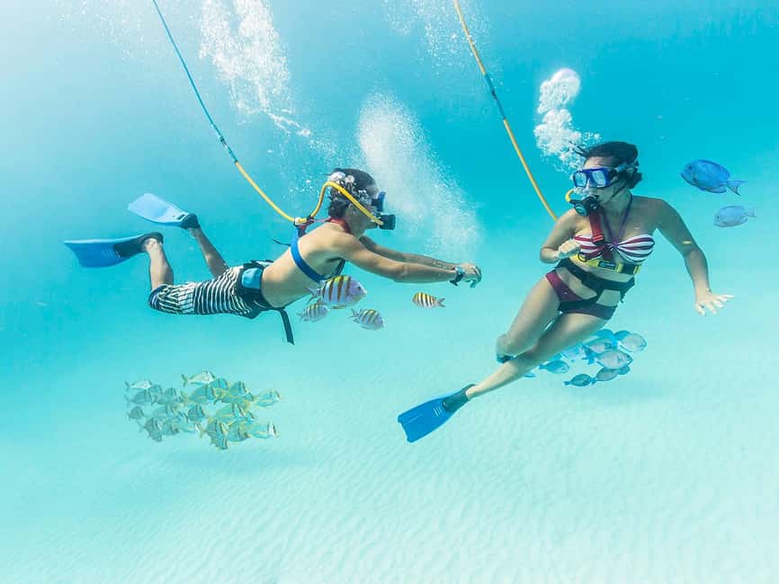 From Cancun: Xcaret Park All-Inclusive - Key points to know before booking