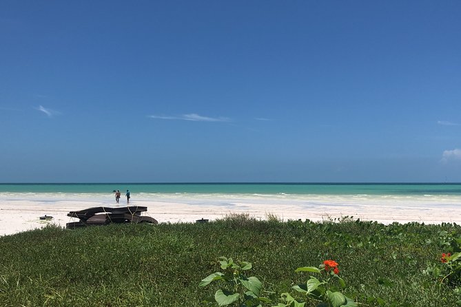 From Holbox to Cancun Private Transportation - Why the $240 group price may be worth it