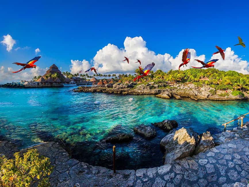 From Playa del Carmen: Xcaret Plus Park, the complete experience - Key points to know before you book