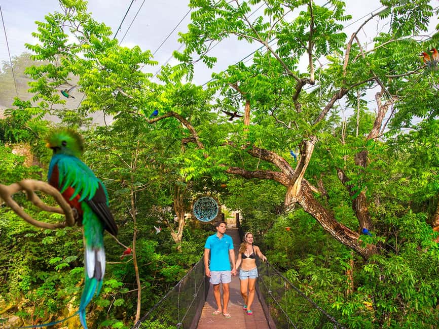 From Playa del Carmen: Xcaret Plus Park, the complete experience - Starting with the Plus Area