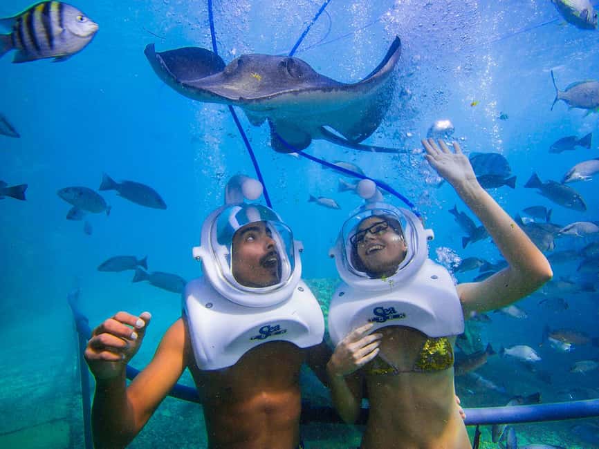 From Playa del Carmen: Xcaret Plus Park, the complete experience - Wildlife and rainforest exhibits