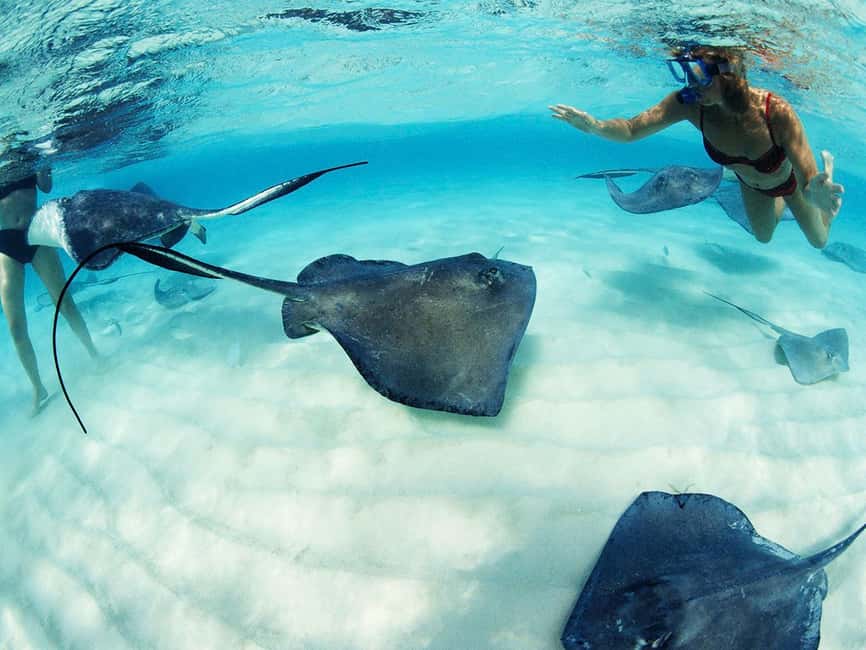 From Riviera Maya: Xcaret Park Plus, the complete experience - What kind of day is Xcaret Park Plus?