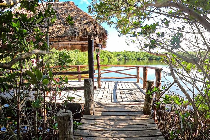 Full-Day Isla Contoy Sailing Nature Experience in Mujeres - Why Isla Contoy makes this day different