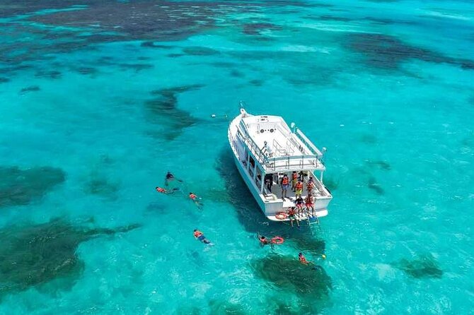Full-Day Isla Contoy Sailing Nature Experience in Mujeres - Buffet lunch in a peaceful setting