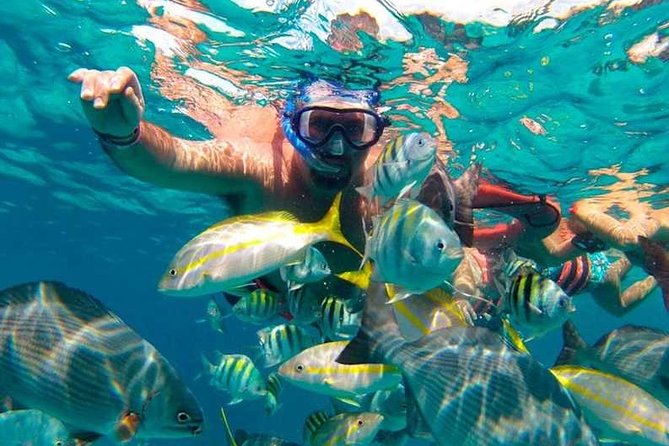 Full-Day Luxurious Catamaran Adventure - Cancún to Isla Mujeres - Who will enjoy this catamaran day?