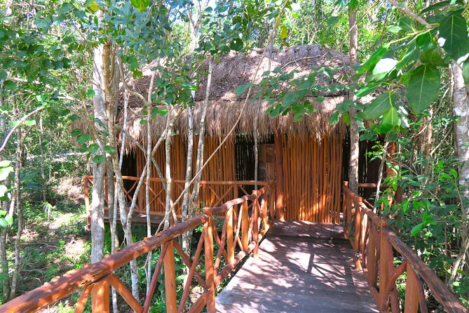 Full-Day Tour of Tulum Ruins and Cenotes with Lunch - What the $126 Price Really Covers