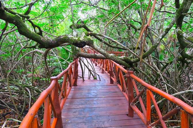 Full-Day Tour of Tulum Ruins and Cenotes with Lunch - Should You Book It?