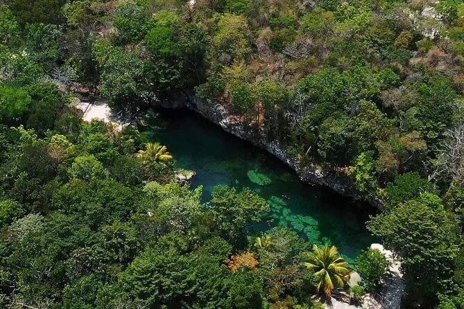 Full Day Tour to 5 Magical Cenotes in the Riviera Maya - Five cenotes, one very full day