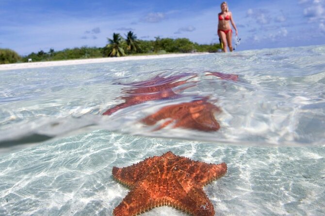 Full day tour to El Cielo in Cozumel Snorkeling and Lunch - Key points before you book