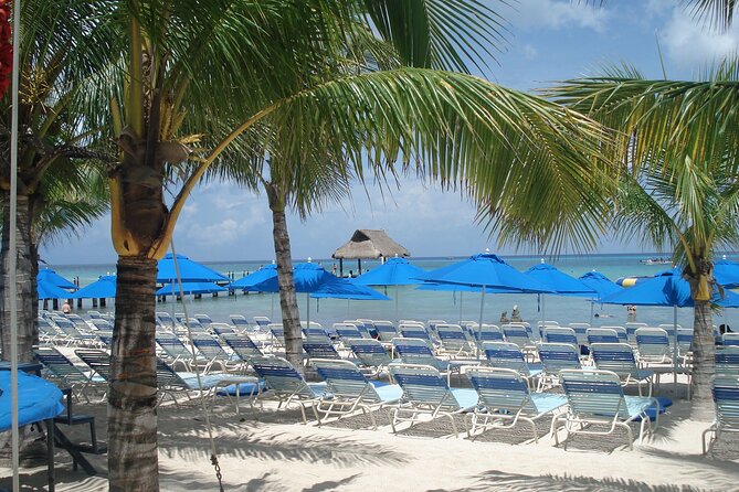Full day tour to El Cielo in Cozumel Snorkeling and Lunch - El Cielo is the reason to cross to Cozumel