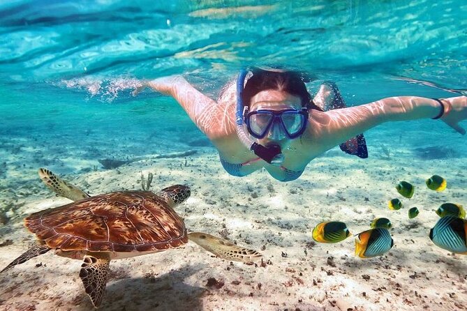 Full day tour to El Cielo in Cozumel Snorkeling and Lunch - Cozumel free time can be useful or frustrating