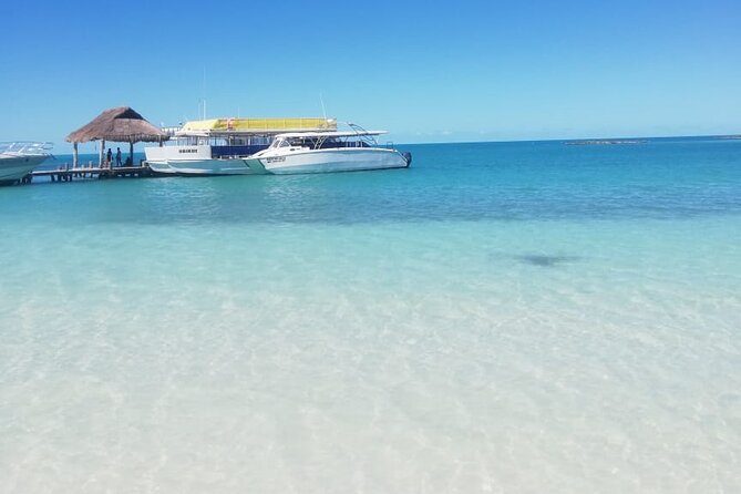 Full Day Tour to Isla Contoy and Isla Mujeres from Cancun - Isla Contoy gives the day its real character