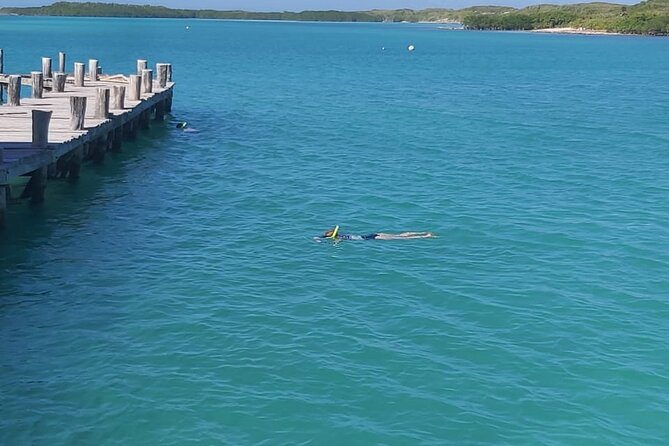 Full Day Tour to Isla Contoy and Isla Mujeres from Cancun - What the $189 price really covers