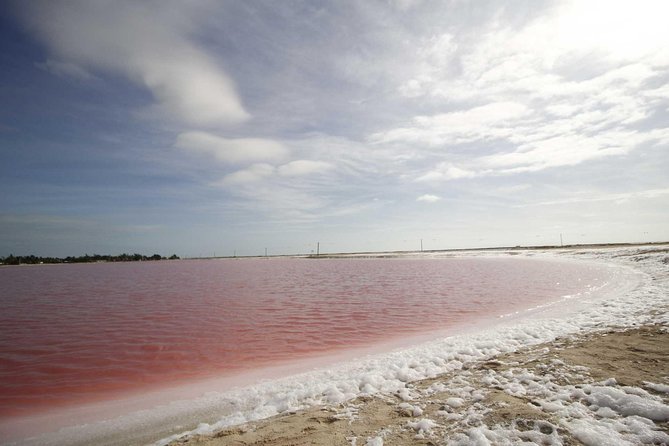 Full-Day Tour to Las Coloradas Pink Paradise in Yucatan and Rio Lagartos. - Key points before you book