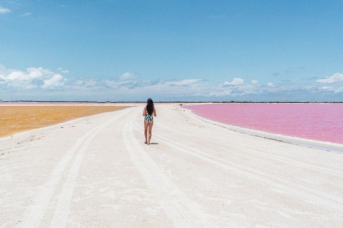 Full-Day Tour to Las Coloradas Pink Paradise in Yucatan and Rio Lagartos. - The crocodile farm visit