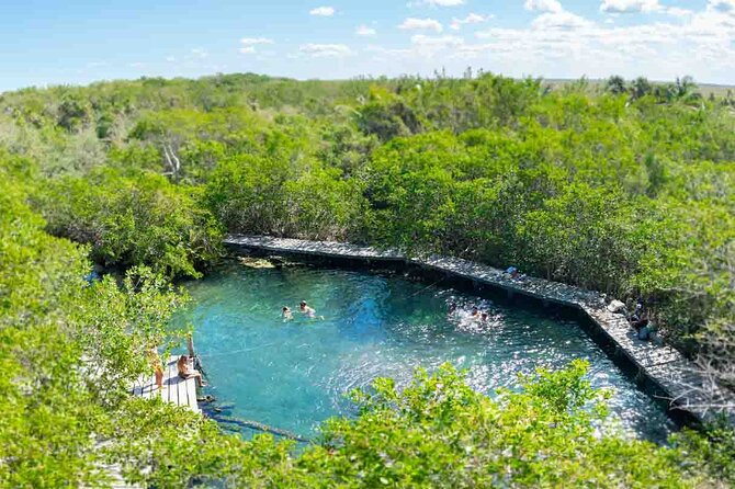 Full Day Tour to the Best of Holbox - Why this Holbox day trip works from Cancun