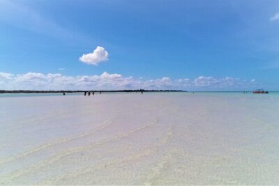 Full Day Tour to the Best of Holbox