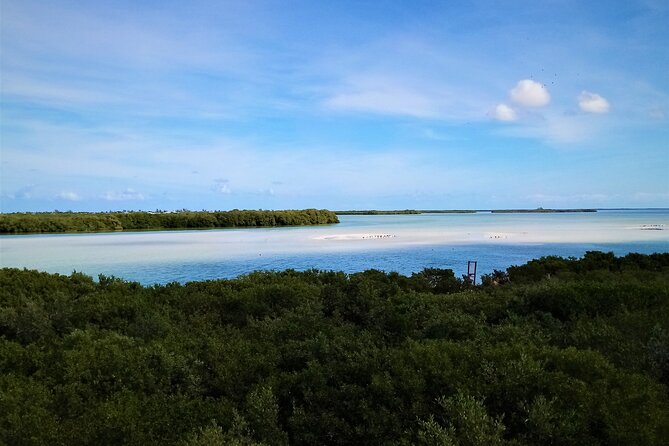 Full Day Tour to the Best of Holbox - Who will enjoy this tour most
