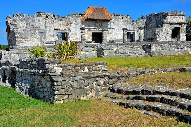 Full Day Tour to Tulum, Cenote Mariposa and Playa del Carmen Eco - Should you book the Tulum, cenote, and Playa del Carmen tour?