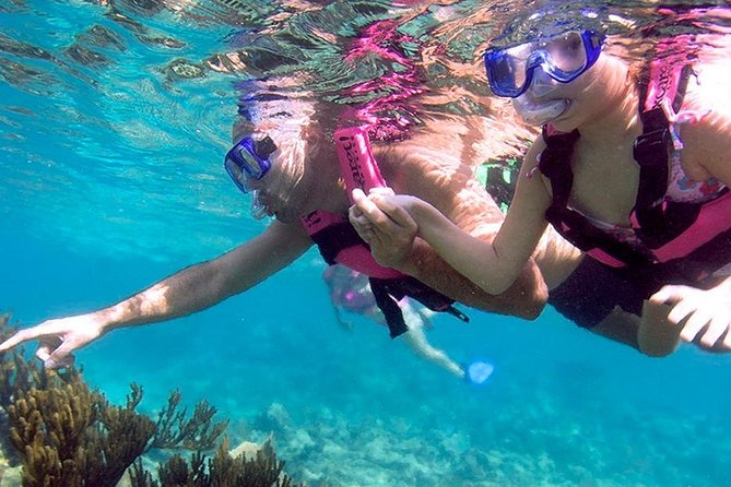 Full day Xcaret Plus & Buffet & from Cancun & Playa del Carmen - Underground rivers, coves, and natural pools