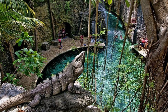 Full day Xcaret Plus & Buffet & from Cancun & Playa del Carmen - The buffet lunch and what the price covers
