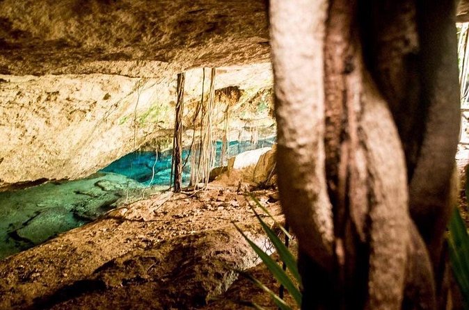 General Admission Ticket to Chikin Ha in Playa del Carmen - Chikin Ha compared with a more structured cenote tour