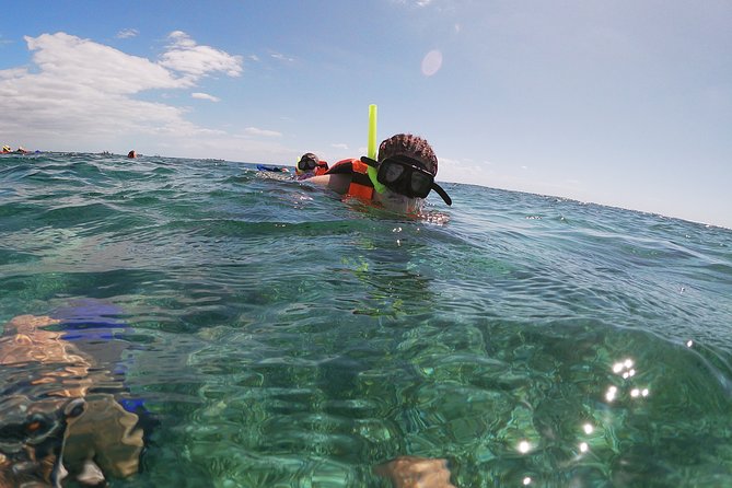 Guided Tour of Puerto Morelos Reefs with Snorkeling Experience - Checking in beside the Puerto Morelos shore