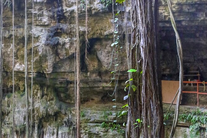 Guided Tour to Chichen Itza, saamal Cenote and Valladolid City - Booking tips that protect your budget