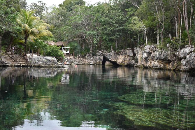 Half Day Cenotes Tour - Key points at a glance