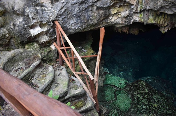 Half Day Cenotes Tour - The guide makes the difference