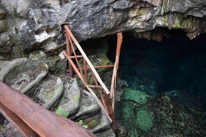 Half Day Cenotes Tour - What the cenote count really means