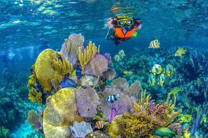 Half Day Guided Snorkeling Adventure Tour from Cancun - Key points to know before booking