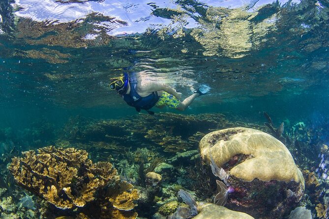 Half Day Guided Snorkeling Adventure Tour from Cancun - Booking, timing, and cancellation advice