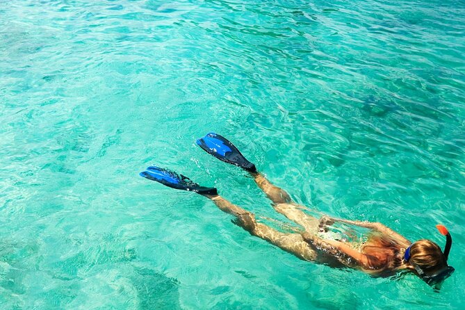 Half-Day Puerto Morelos Snorkeling Experience with Lunch - Lunch by the sea: tasty tacos, but do not assume a large meal