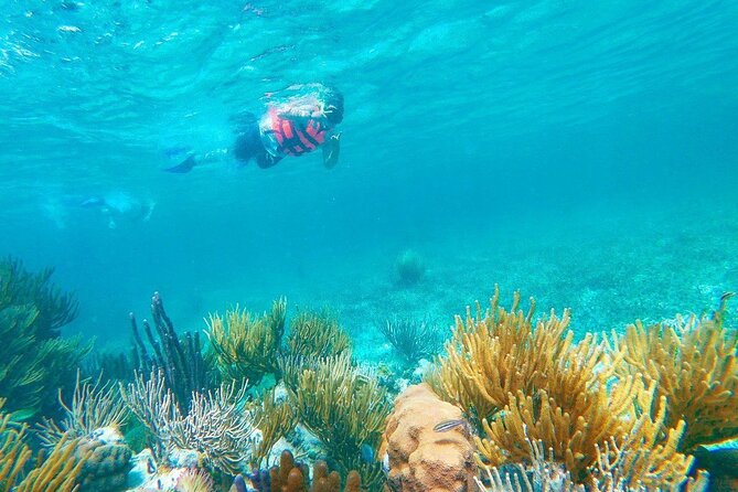Half-Day Puerto Morelos Snorkeling Experience with Lunch - Pickup and timing: convenient when confirmed, less reliable when assumed