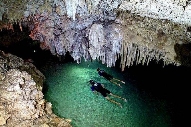 Half-Day Underwater World Tour - Key points to know before booking