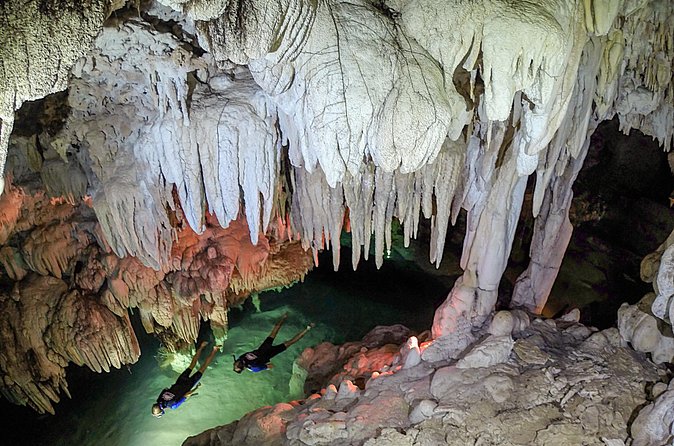 Half-Day Underwater World Tour - Who should book this Cancun water tour