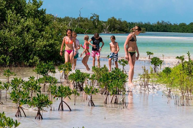 Holbox and Passion Island Full-Day Tour with Cenote, Transportation and Lunch - The real shape of this Cancun to Holbox day
