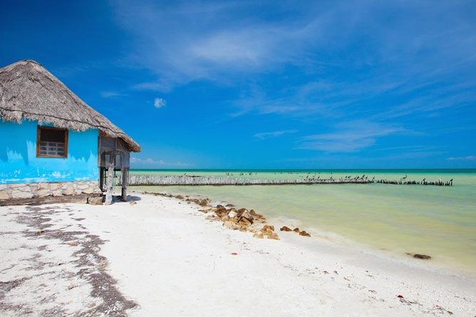 Holbox Island Tour departure from Cancun - Punta Mosquito: a first look at the island’s nature