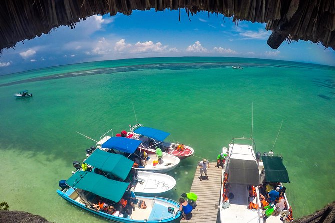 Holbox Island Tour departure from Cancun - Who should book the full option
