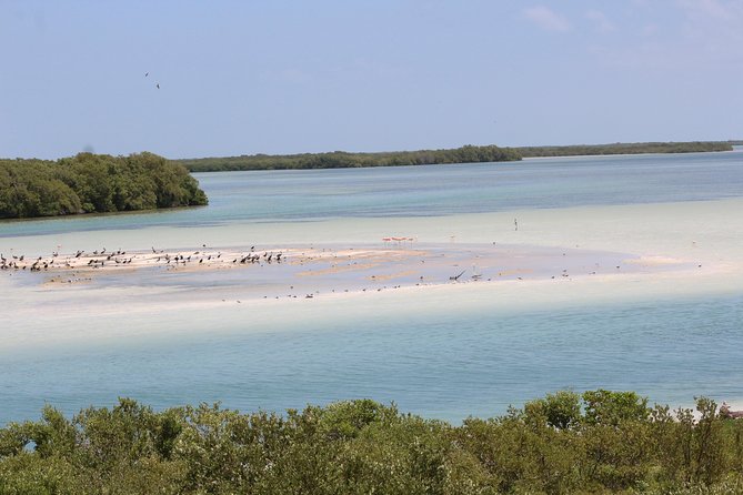 Holbox Island Tour From Cancun - Isla de la Pasión and the shallow water