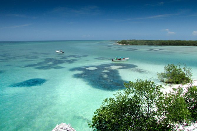 Holbox Island Tour From Cancun - What the $79.20 price really includes