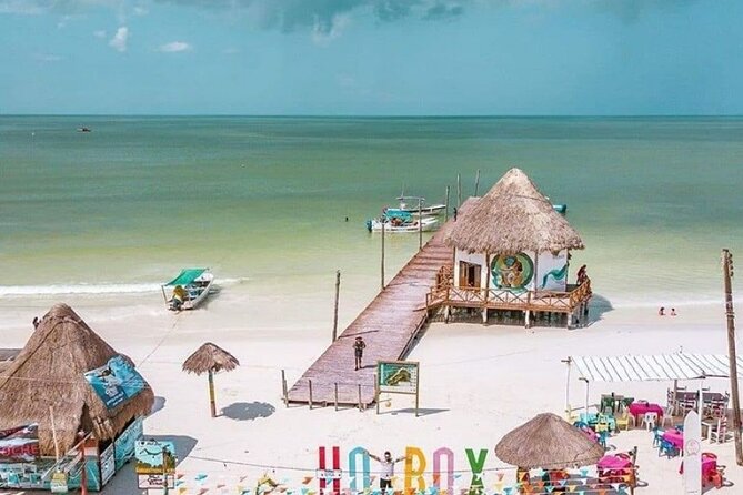 Holbox Island Tour Golf Cart Ferry with Lunch and Transportation - Holbox beaches, birds, and open coastal views
