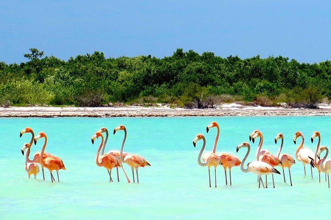 Holbox plus Island Magic by boat Tour from Cancun - The long journey from Cancun to Chiquilá