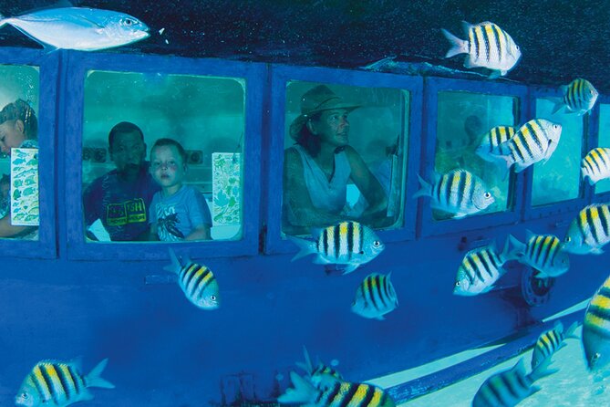 Hop-on Hop-off City Tour Cancun plus Submarine or Bodyboard Experience - What the $55 price really covers