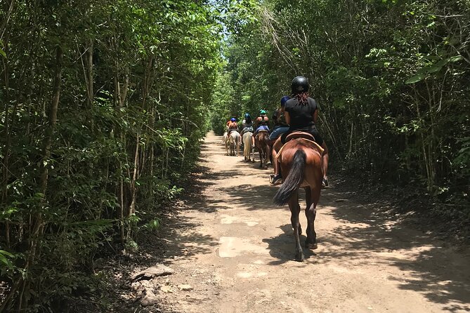 Horseback, ATV´s, Ziplines, Cenote, Hanging bridge Lunch and Round Trip Included - Horseback riding: a short jungle introduction