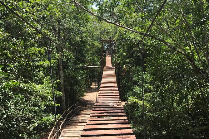 Horseback riding and ATV in the jungle, Ziplines, Cenote & Lunch - Who will enjoy this combo most