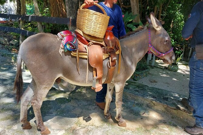 Horseback Riding Tour at Rancho Bonanza and Cenote Swim - Who will enjoy Rancho Bonanza most?