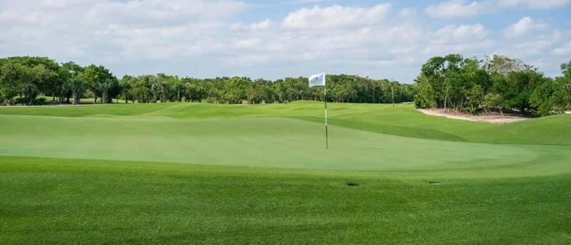 Iberostar Cancun Golf Course - Crocodiles, mangroves, and Mayan views