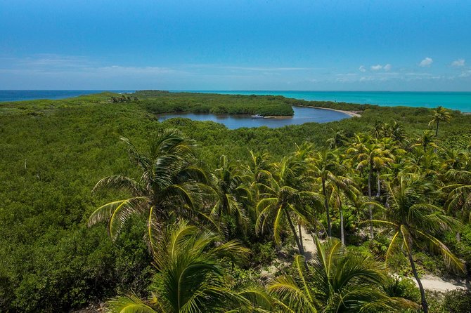 Isla Contoy and Isla Mujeres Tour with Snorkeling from Cancun - A Mayan-style fish lunch on the beach